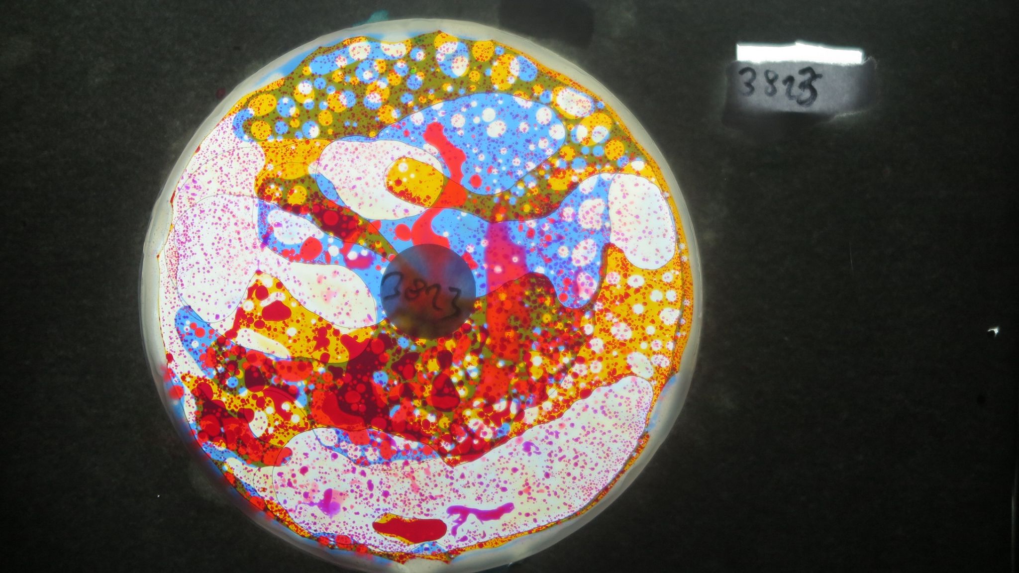 BV3823 bubble vision oil wheel